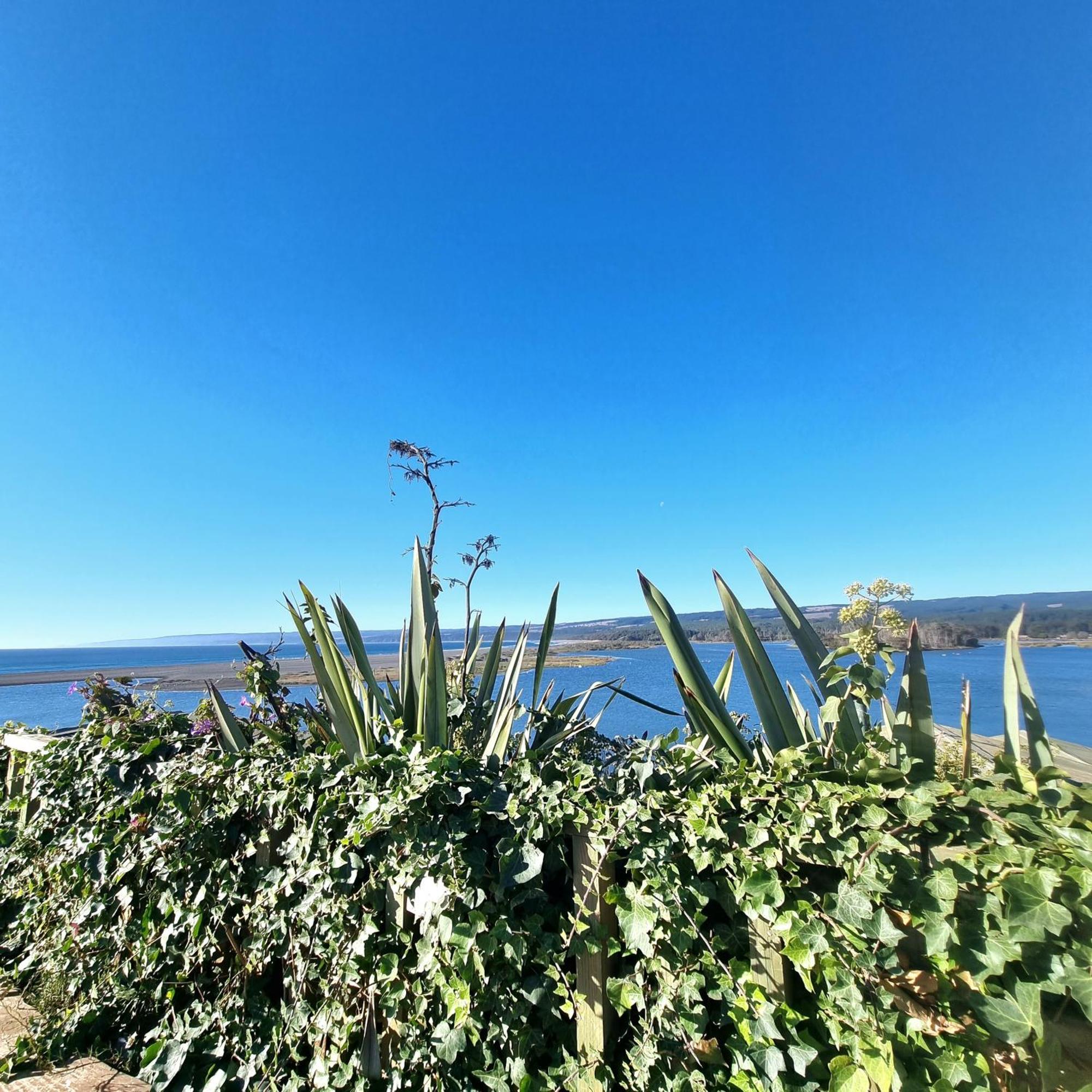 Max & Mar Pichilemu Εξωτερικό φωτογραφία